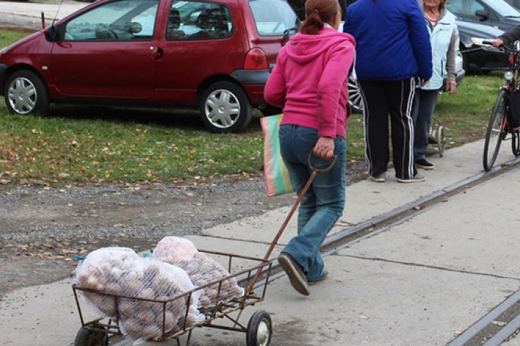 Több kilónyi zöldséget kapott 600 rászoruló