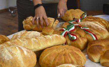 Már lehet szavazni, hogy melyik dombóvári szervezet kapja a támogatást