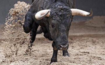 Bankfiókba tévedt egy bika Spanyolországban