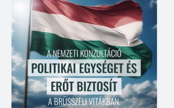 Hollik István: a nemzeti konzultációban három olyan gazdasági kérdés is lesz, amiben Brüsszel megtámadta Magyarországot