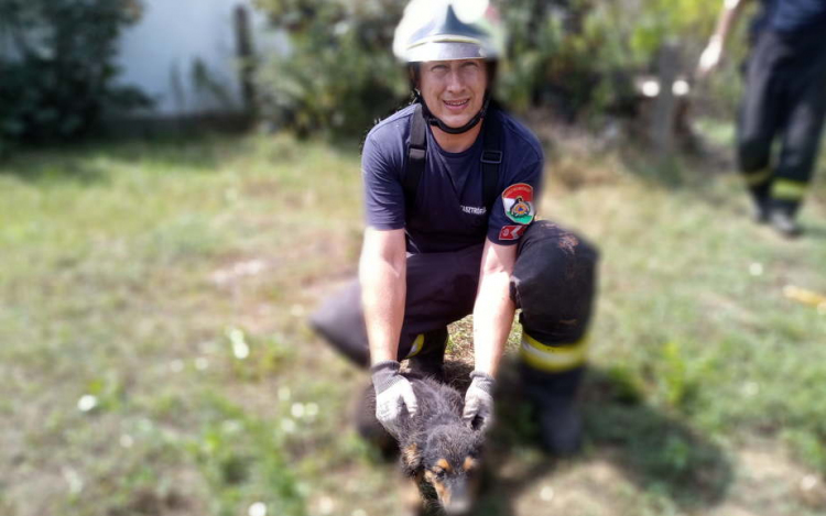 Kiskutyát mentettek a dombóvári tűzoltók 