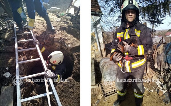 Kiskutyát mentettek a dombóvári tűzoltók