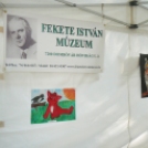 A Fekete István Múzeum a Múzeumok Majálisán 2012.05.19-20.
