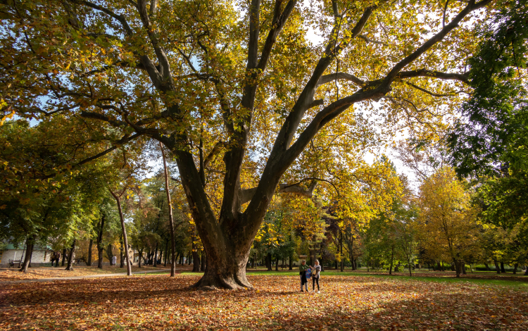Szallas.hu: Budapest, Eger és Pécs az őszi utazók kedvenc városai