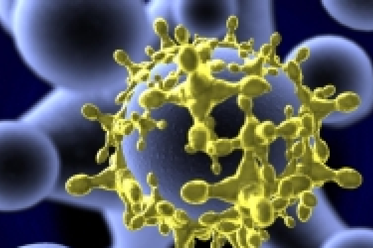 Járványügy - a mediterrán betegségekre kell felkészülnünk