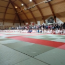Barcsi Regionális Judo Verseny