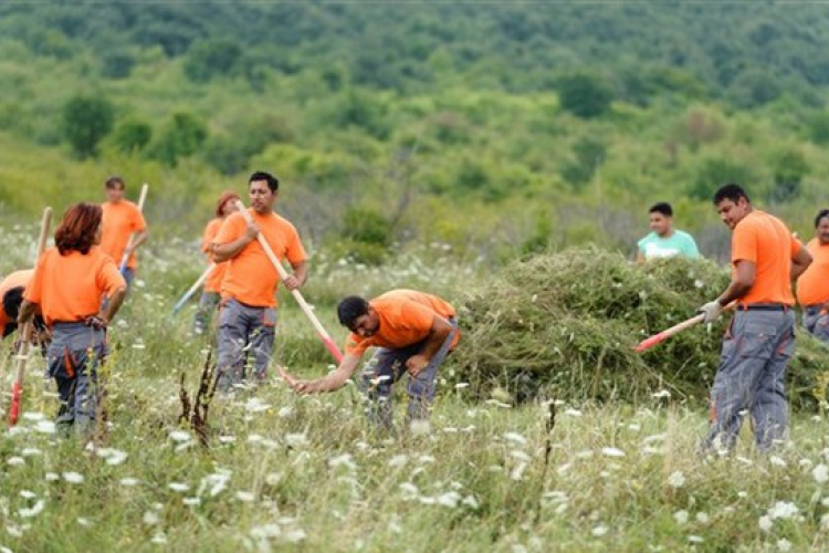 Méltóságot sért a közmunkás-feliratú mellény