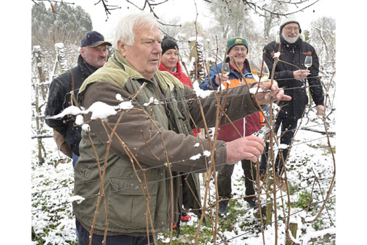 A dombóvári kertbarátok mindent megtettek a bőséges szőlőtermés érdekében