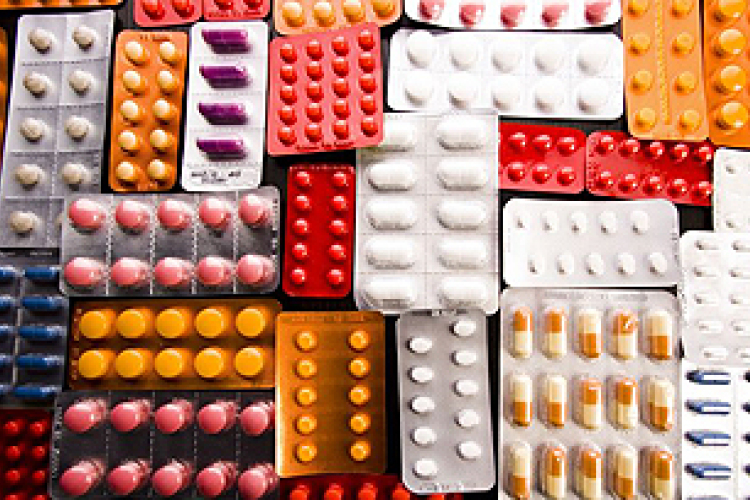 A patikus is tudja, mit szedtünk tavaly nyáron