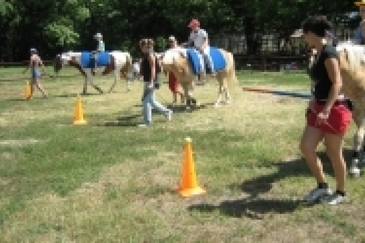 Startolnak az idei Erzsébet-táborok
