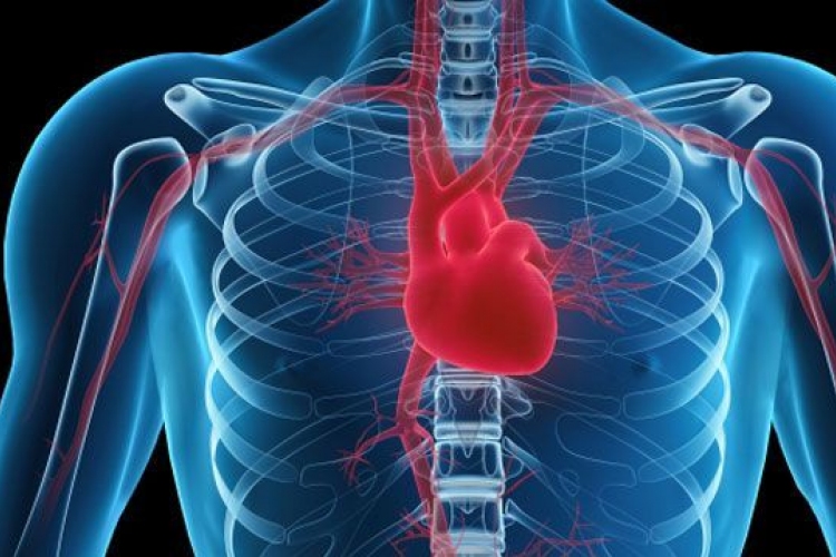 Mik a megnagyobbodott szív tünetei?